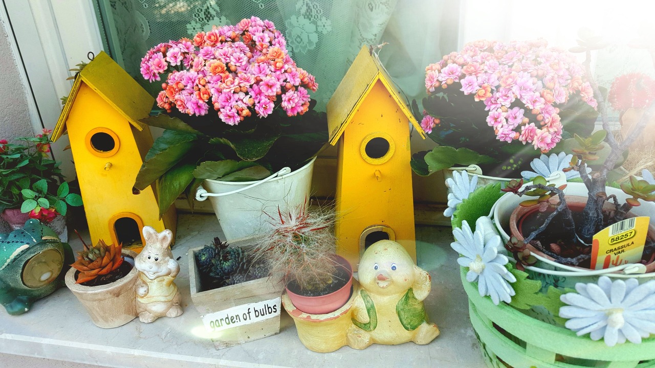Photo of Outdoor in Portese