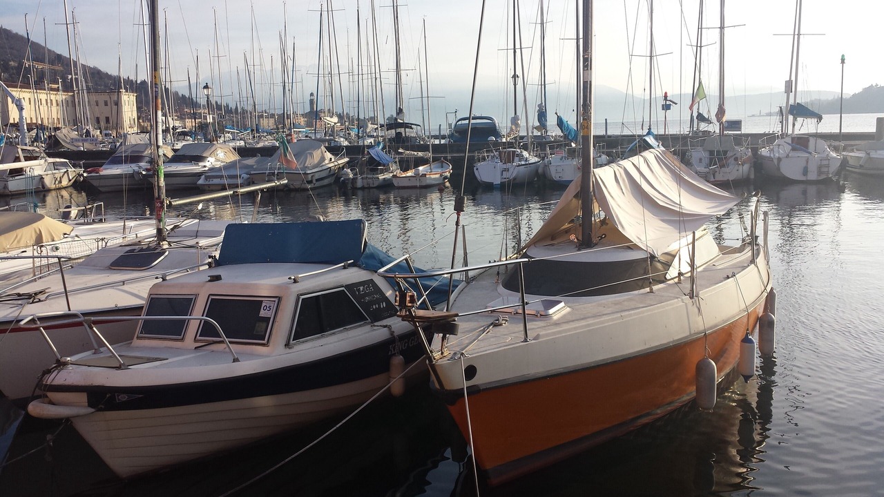 Photo of Others in Portese