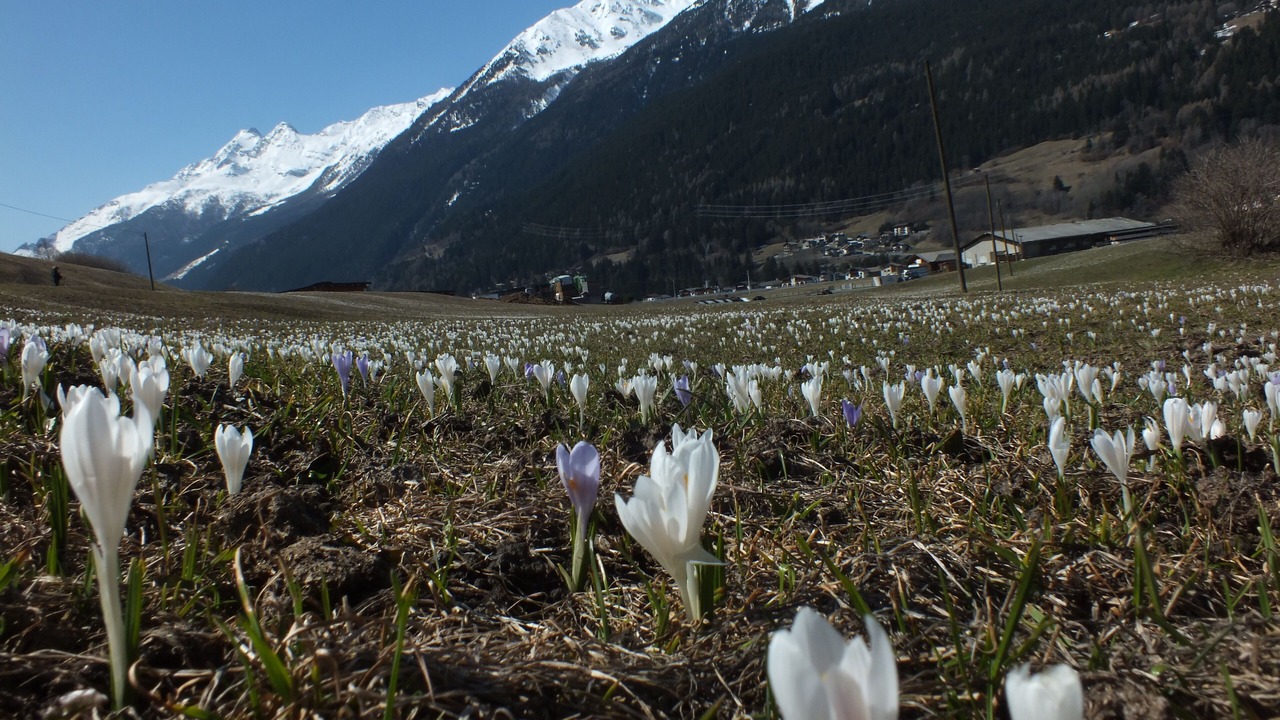 Photo of Outdoor in Oga