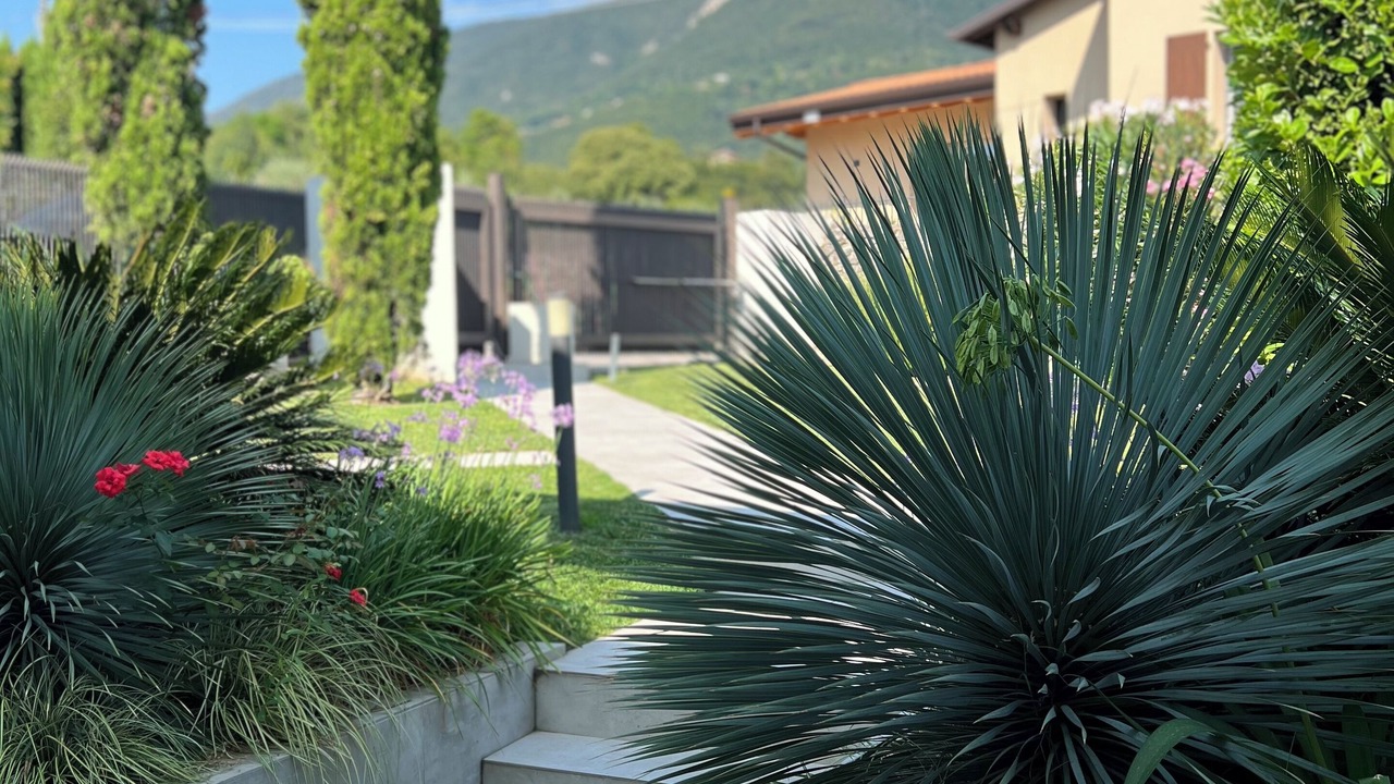 Photo of Outdoor in Roe