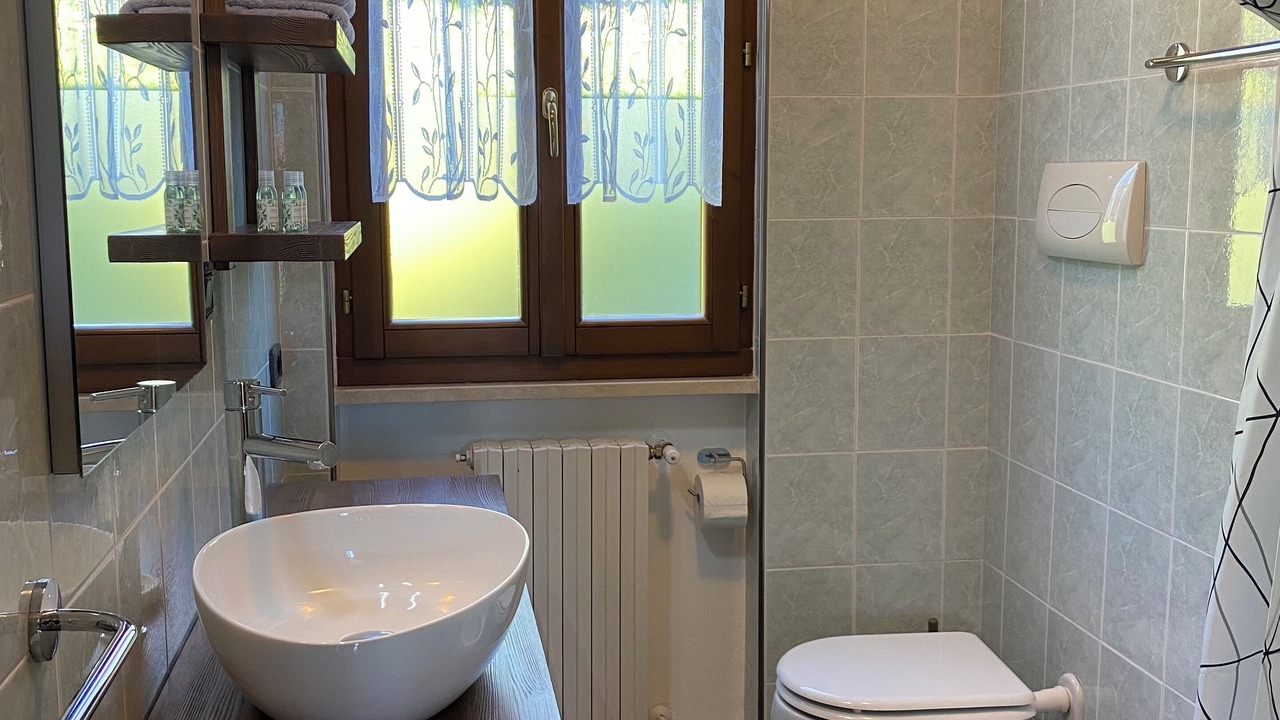 Photo of Bathroom in Idro
