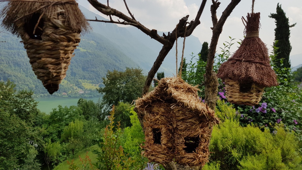 Photo of Outdoor in Ranzanico