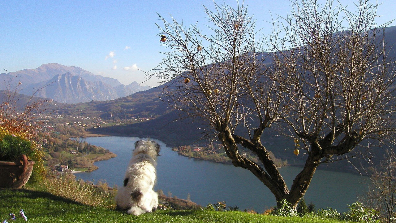 Photo of Outdoor in Ranzanico