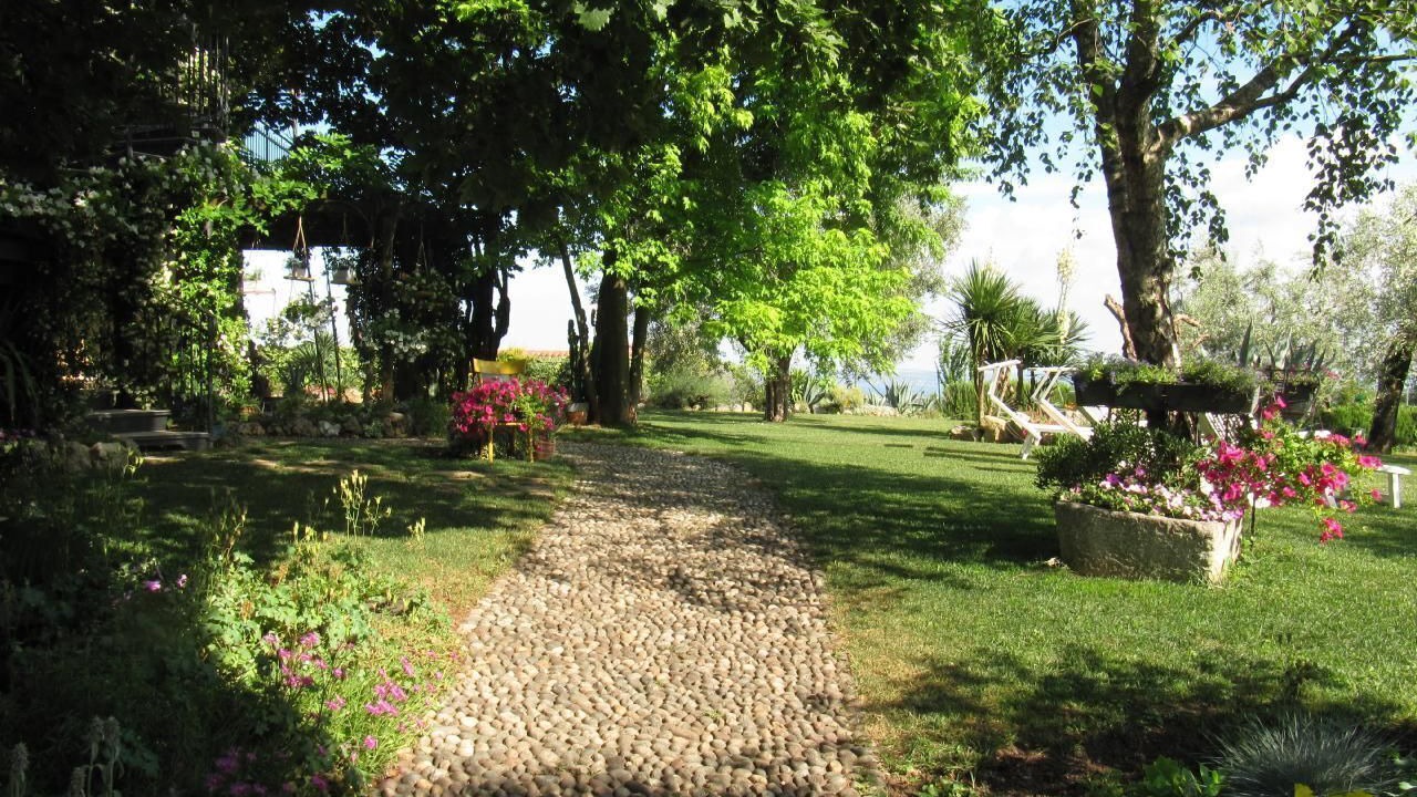 Photo of Others in Castello