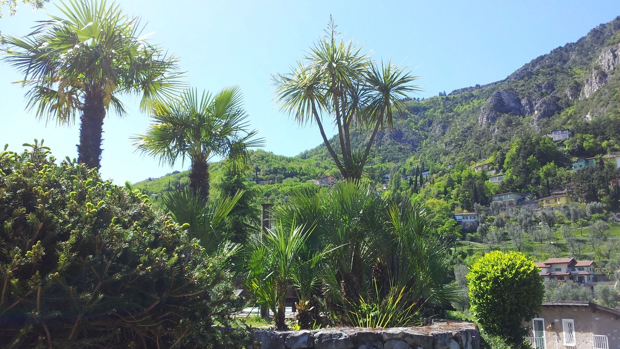 Photo of Outdoor in Tremosine