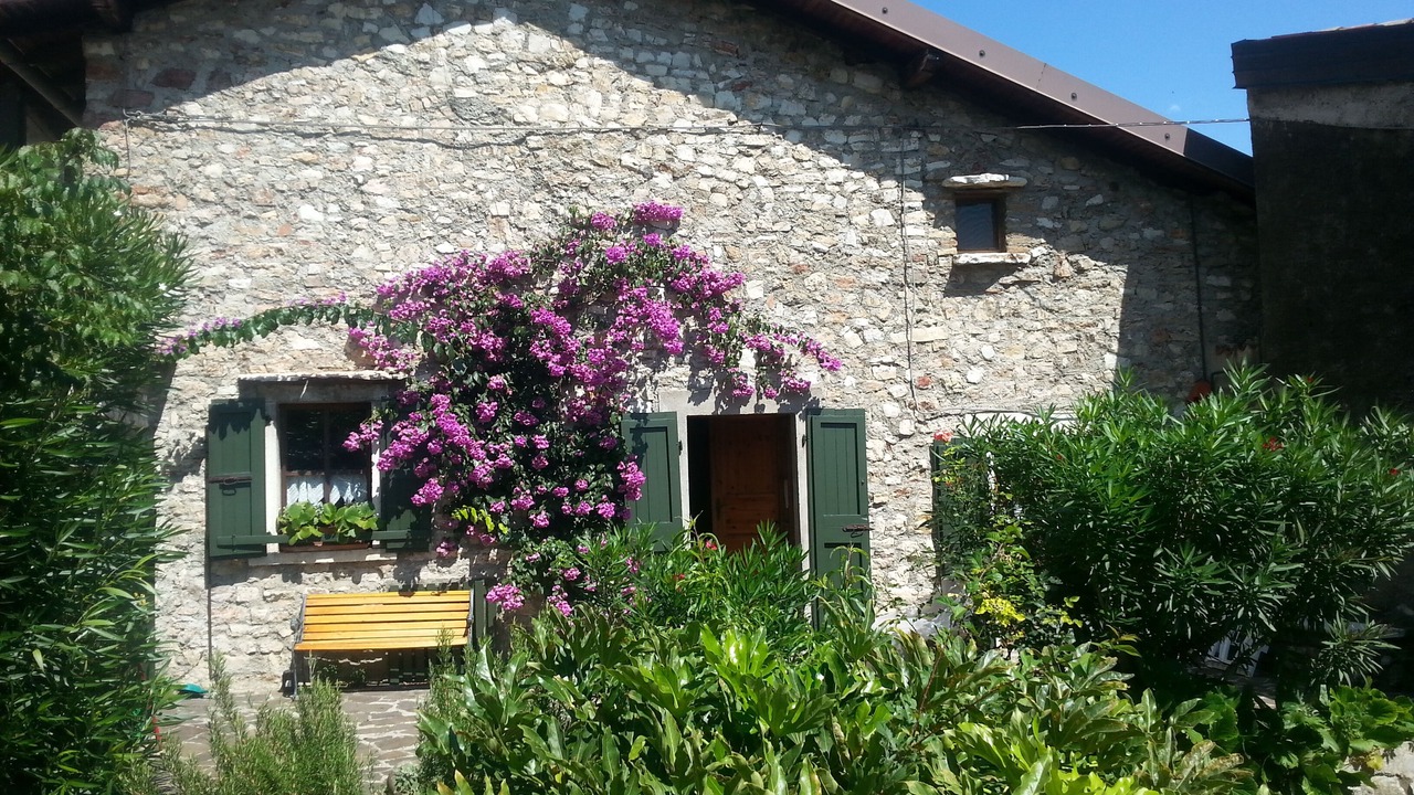 Photo of Outdoor in Muslone