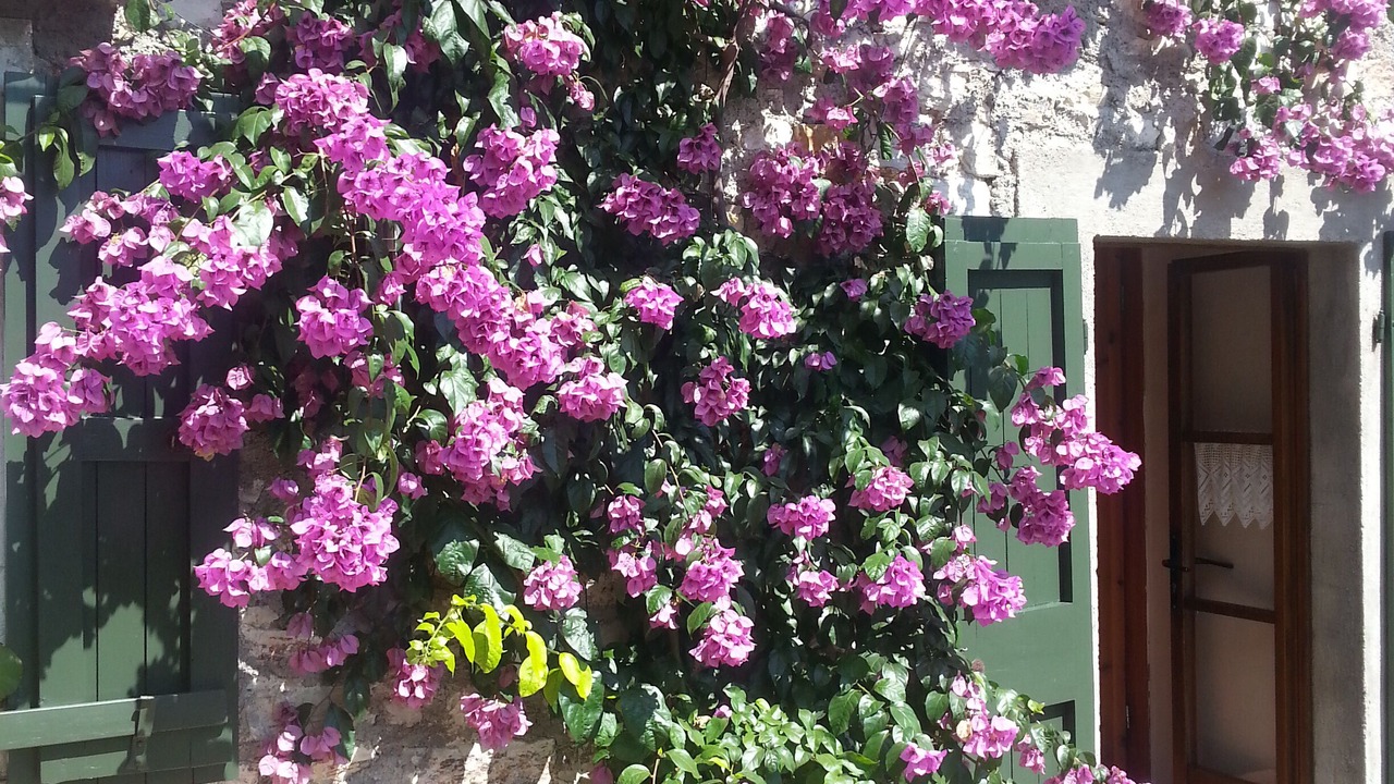 Photo of Outdoor in Muslone