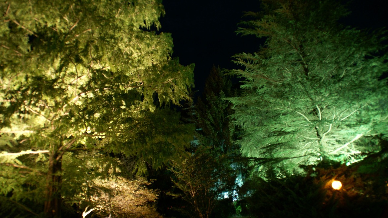 Photo of Outdoor in Campo
