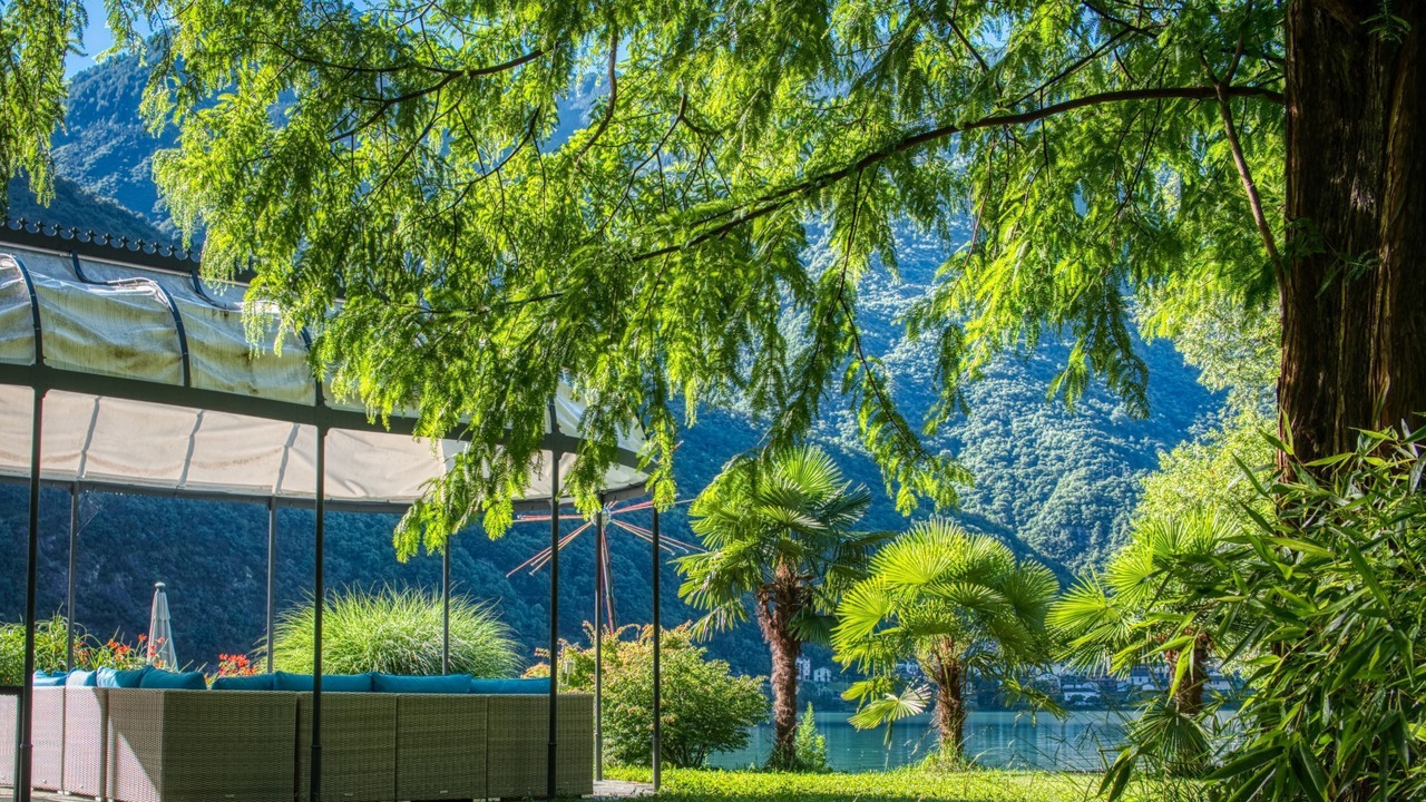 Photo of Outdoor in Campo