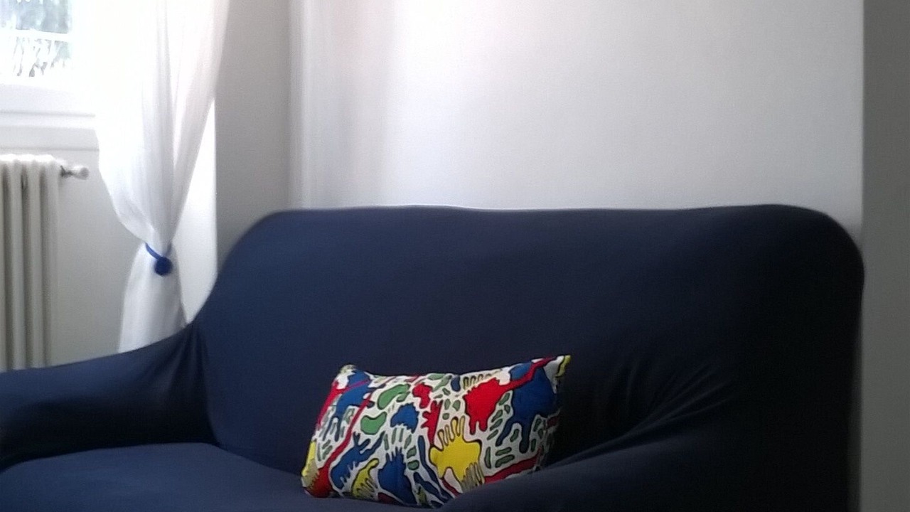 Photo of Livingroom in Ispra