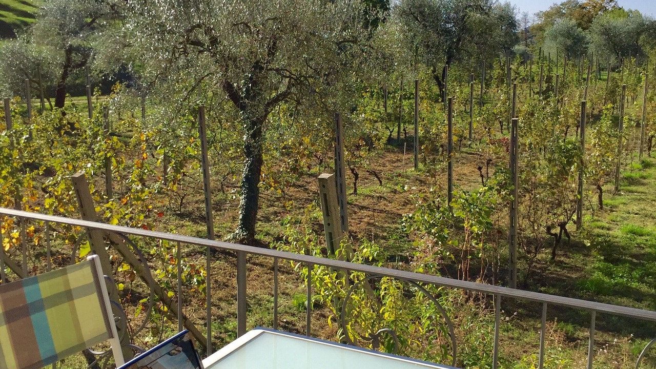 Photo of Outdoor in Toscolano Maderno