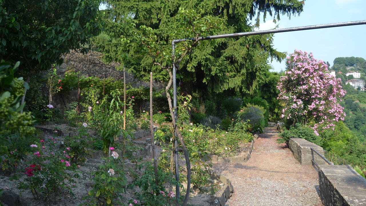 Photo of Outdoor in Bergamo