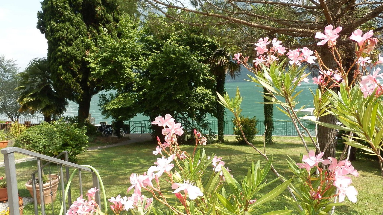 Photo of Outdoor in Cima