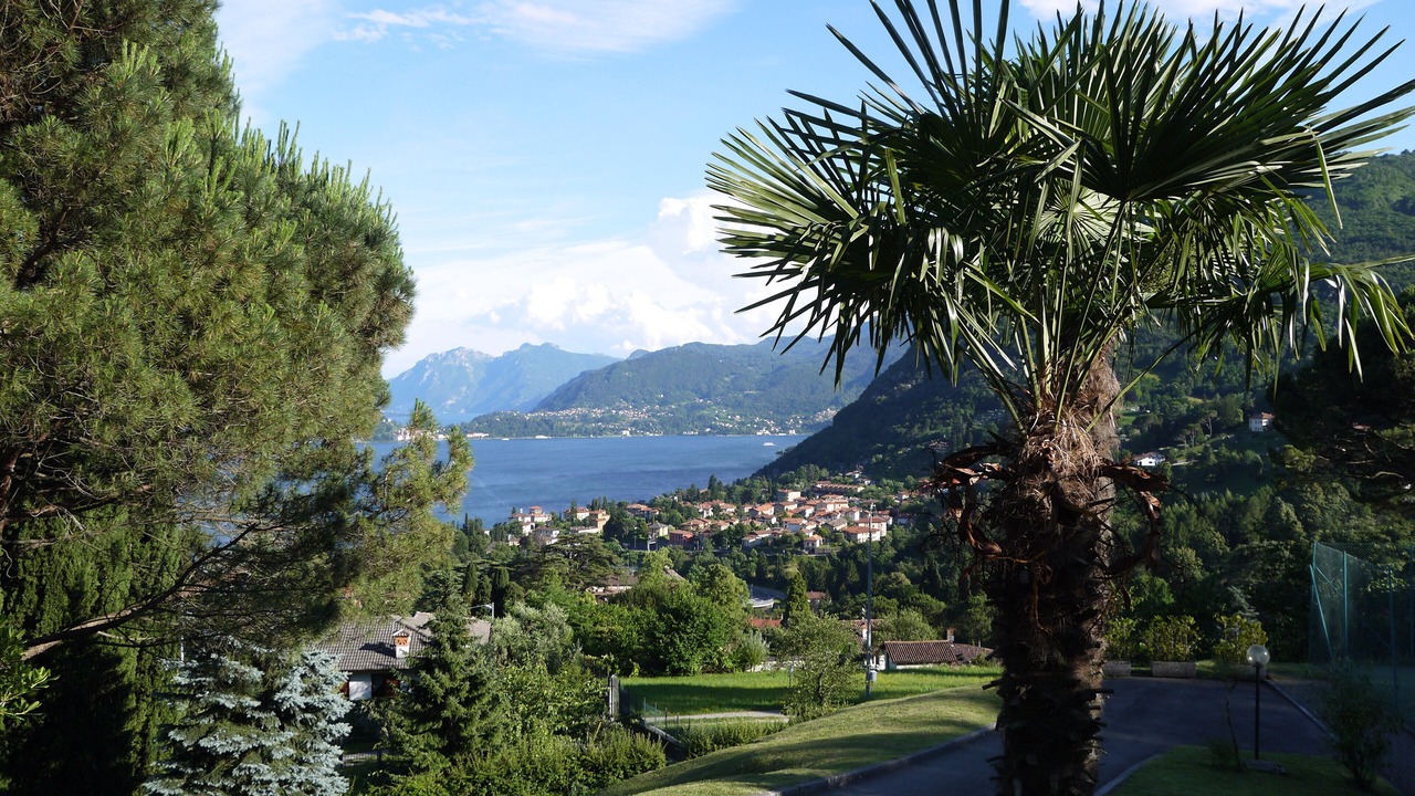 Photo of Others in Menaggio
