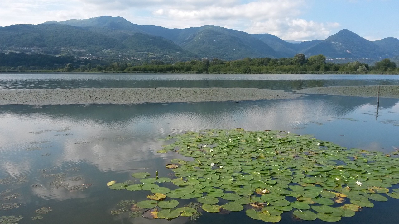 Photo of Others in Cremnago