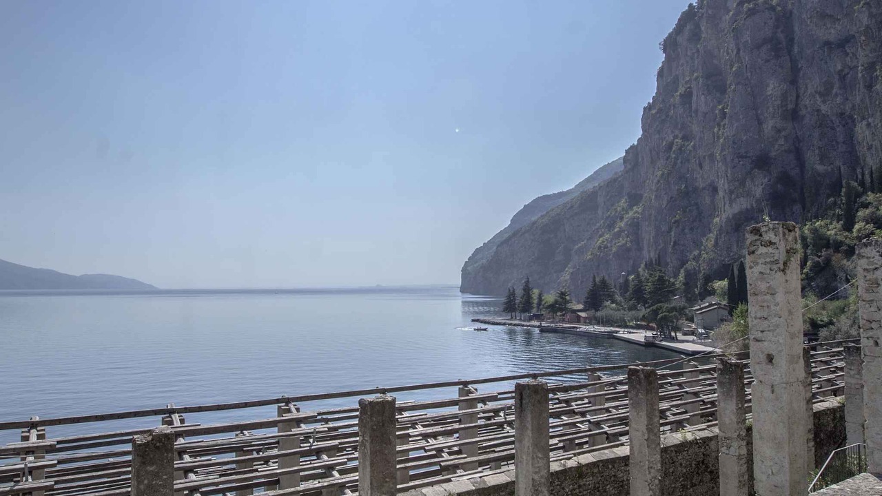 Photo of Others in Tignale