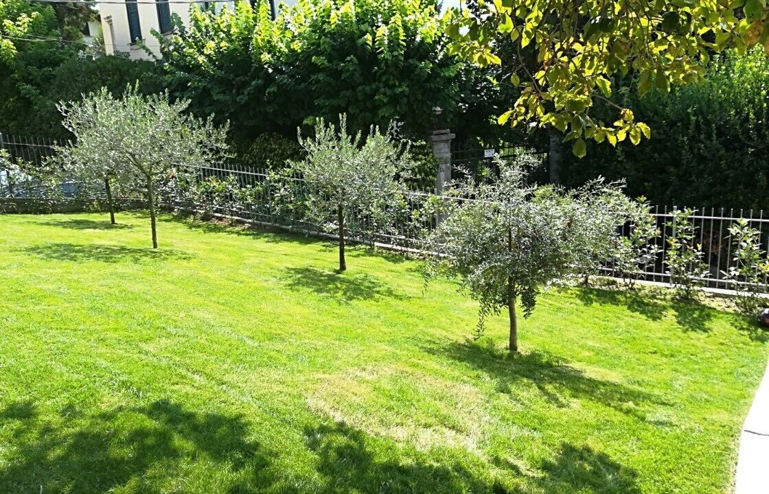 Photo of Outdoor in Cernobbio