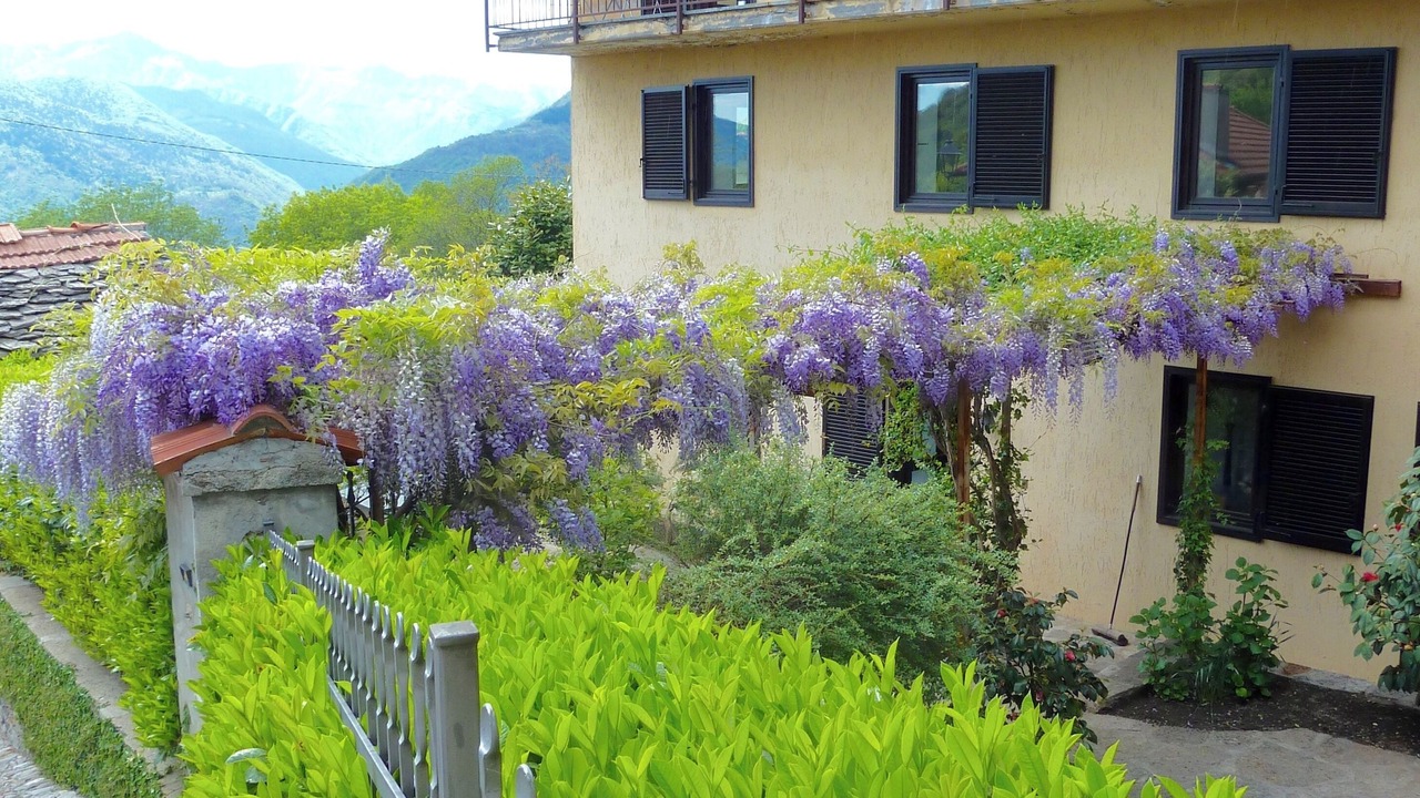 Photo of Outdoor in Musignano