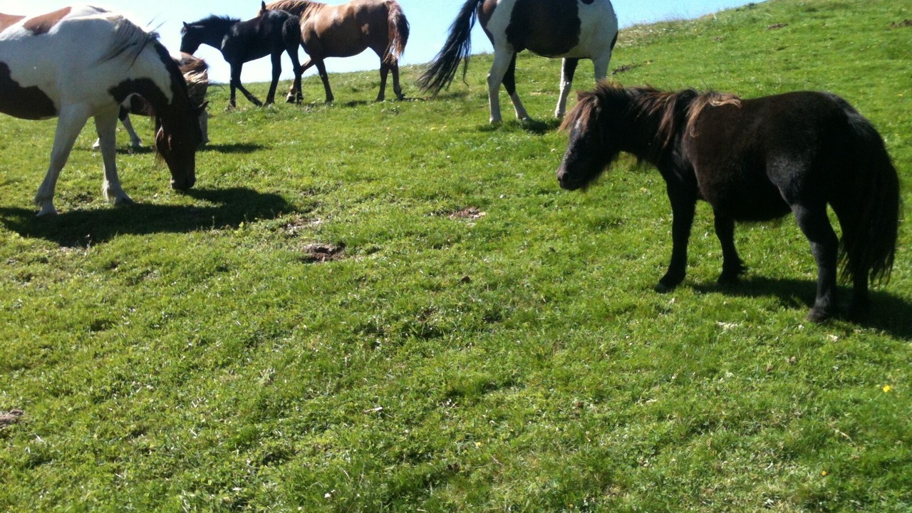Photo of Outdoor in Naggio