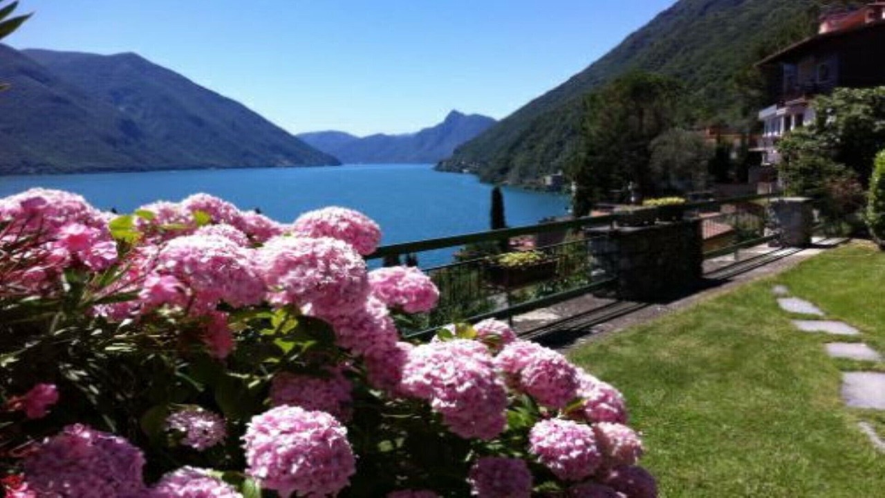 Photo of Outdoor in Castello