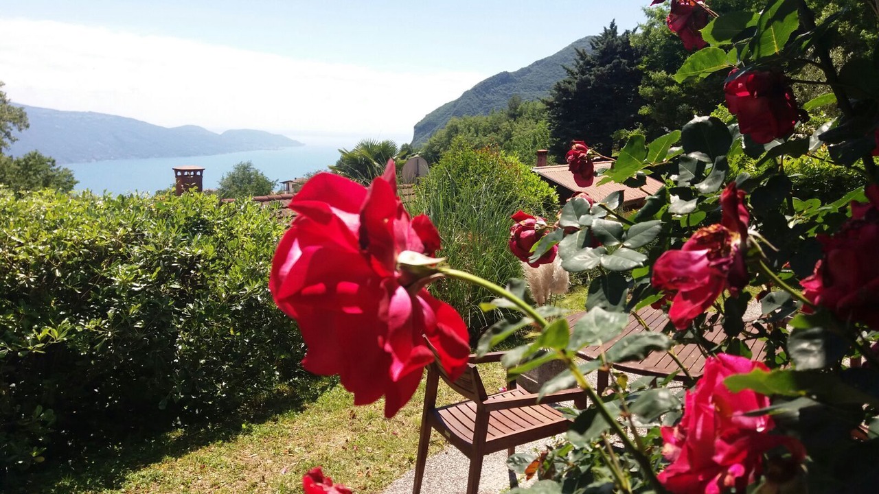 Photo of Outdoor in Aer