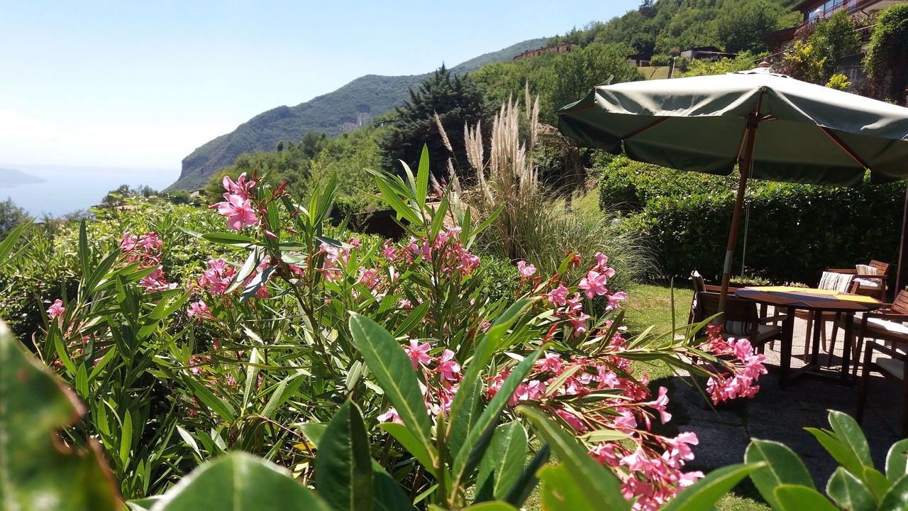 Photo of Outdoor in Aer