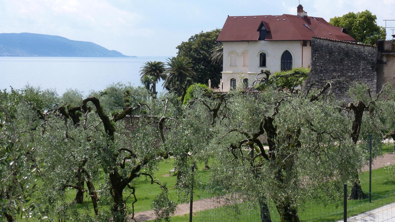 Photo of Outdoor in Aer