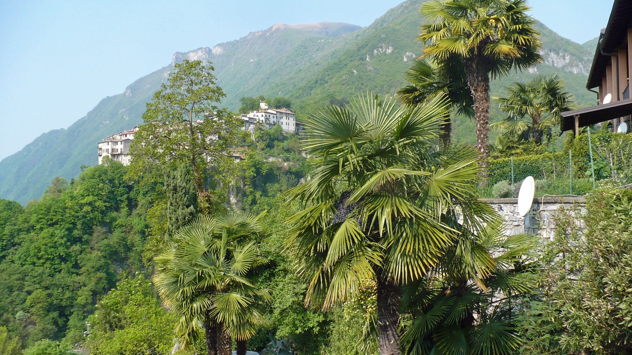 Photo of Outdoor in San Mamete