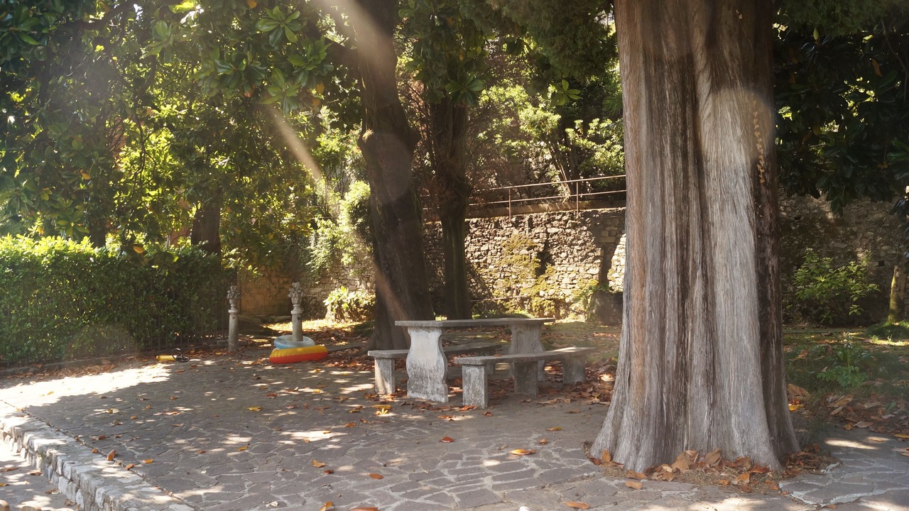 Photo of Outdoor in Cressogno
