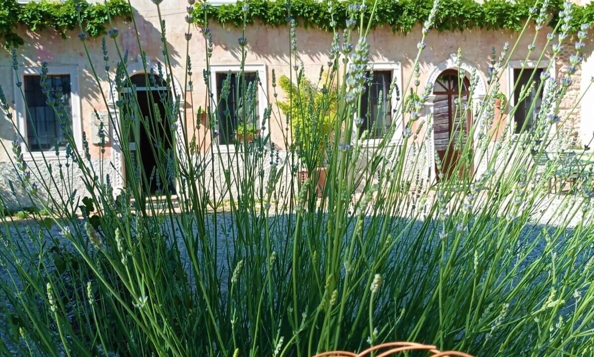 Photo of Outdoor in Volta Mantovana