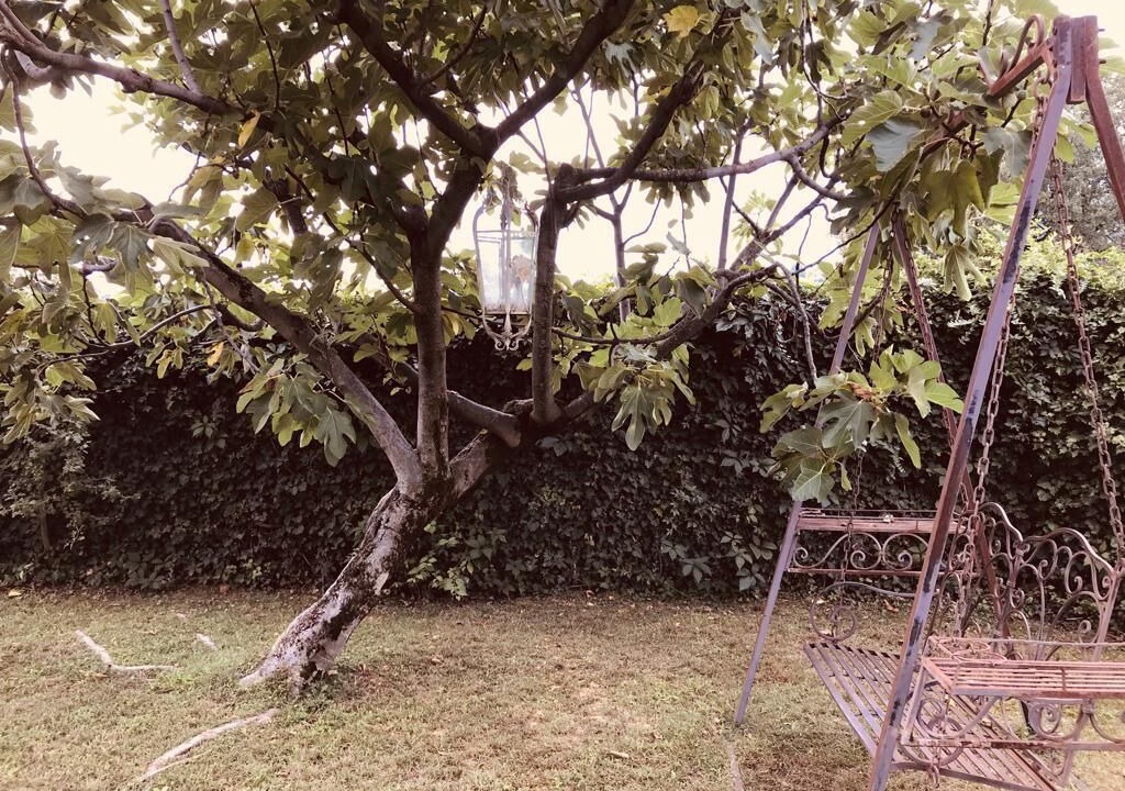 Photo of Outdoor in Monte