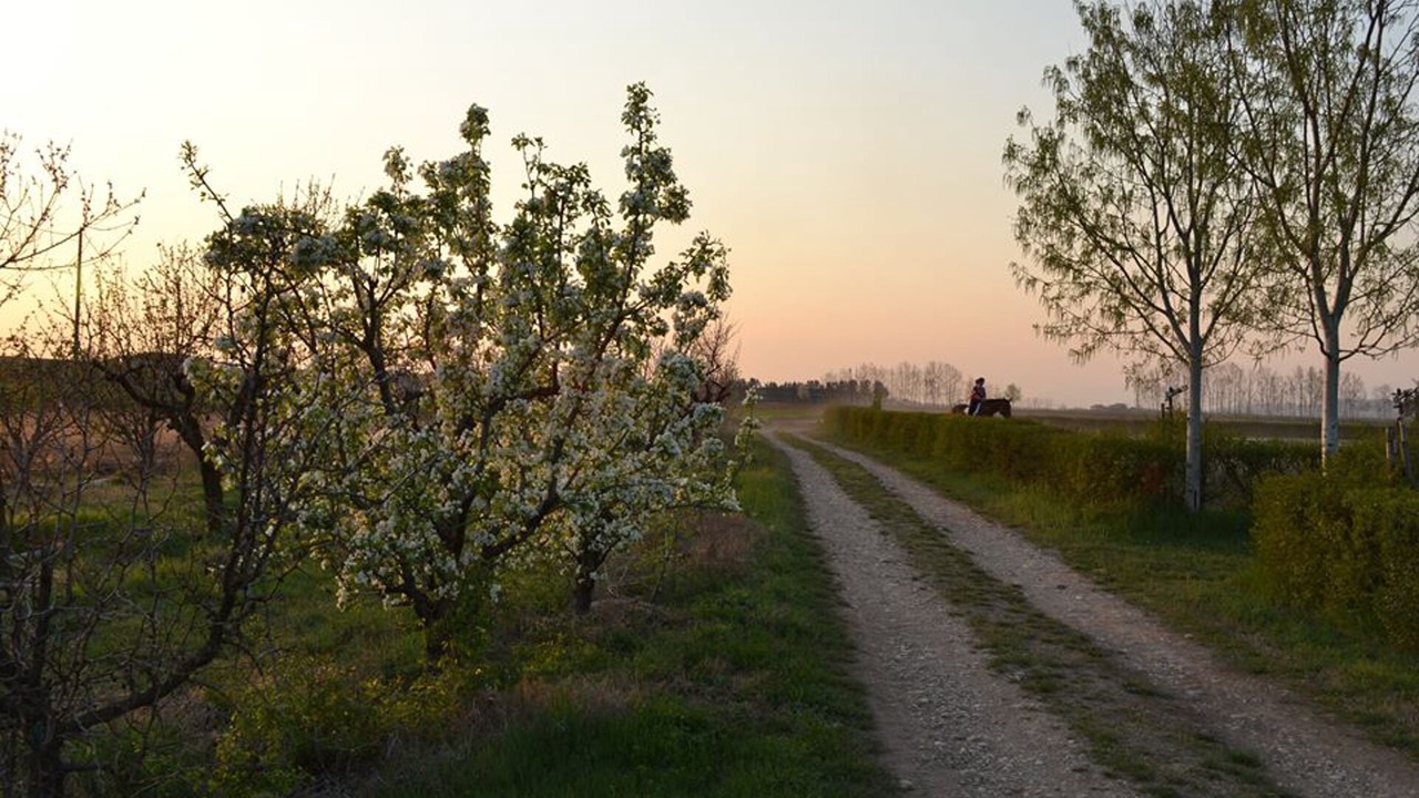 Photo of Outdoor in Guidizzolo