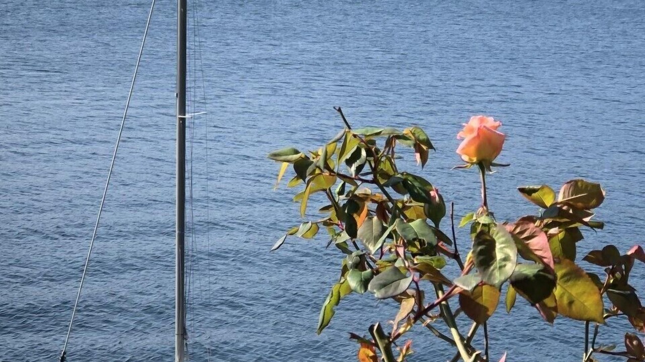 Photo of Outdoor in Carate Urio