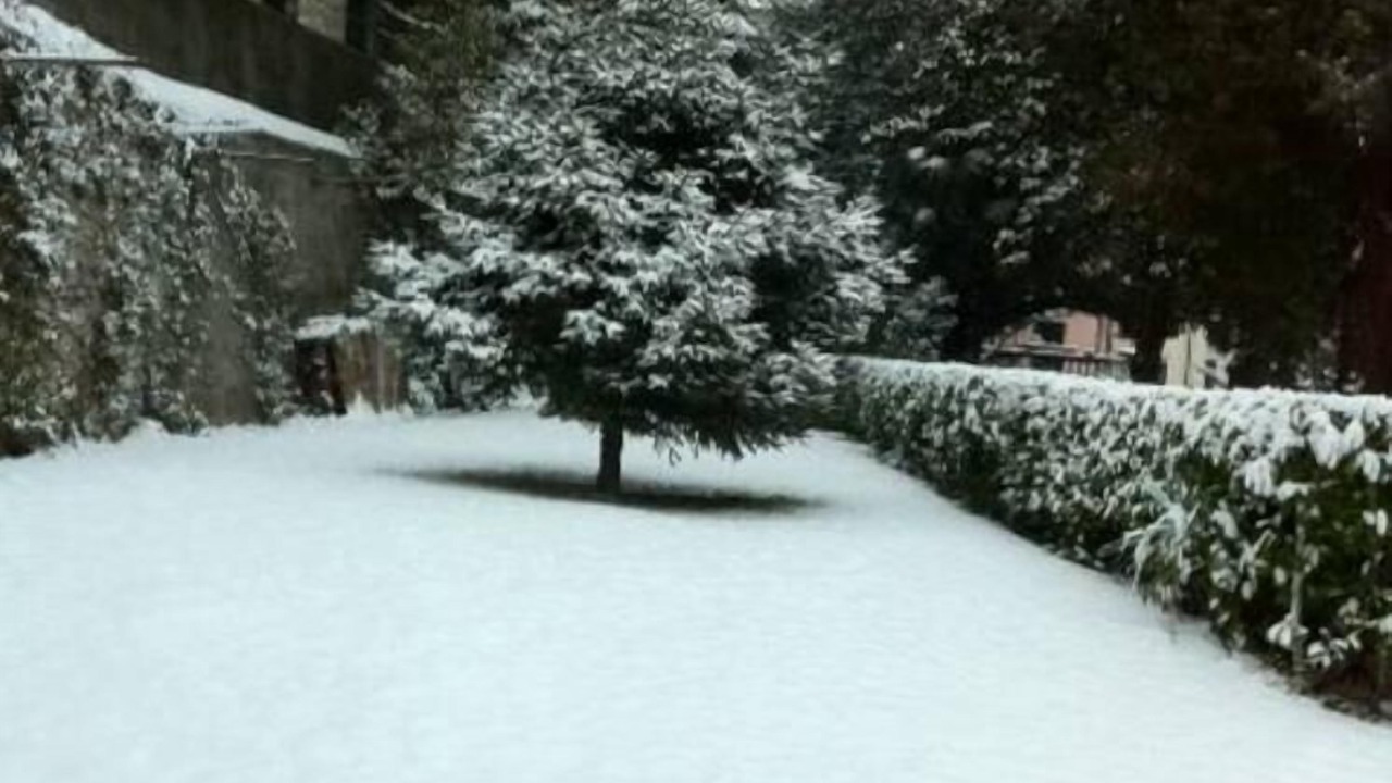 Photo of Outdoor in Carate Urio