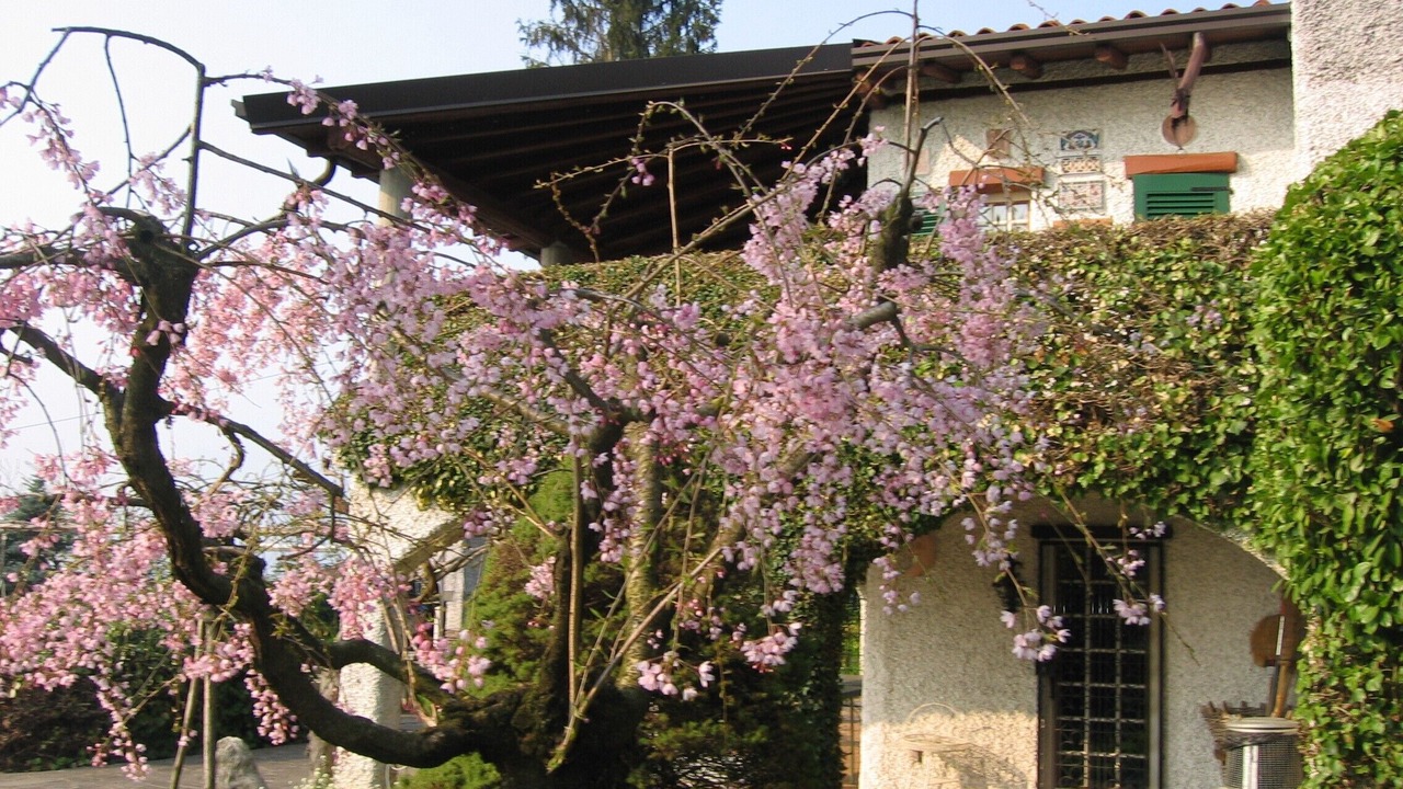 Photo of Others in Sulzano