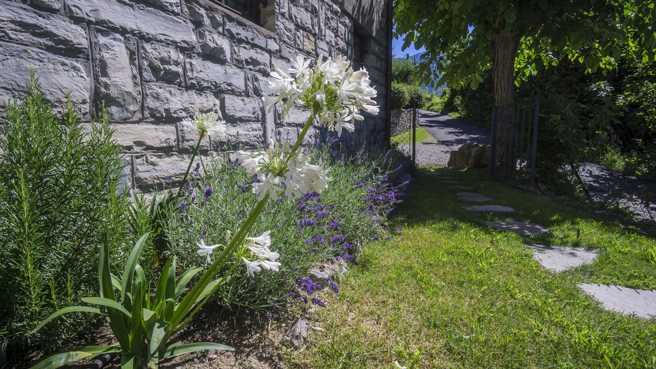 Photo of Outdoor in Visgnola