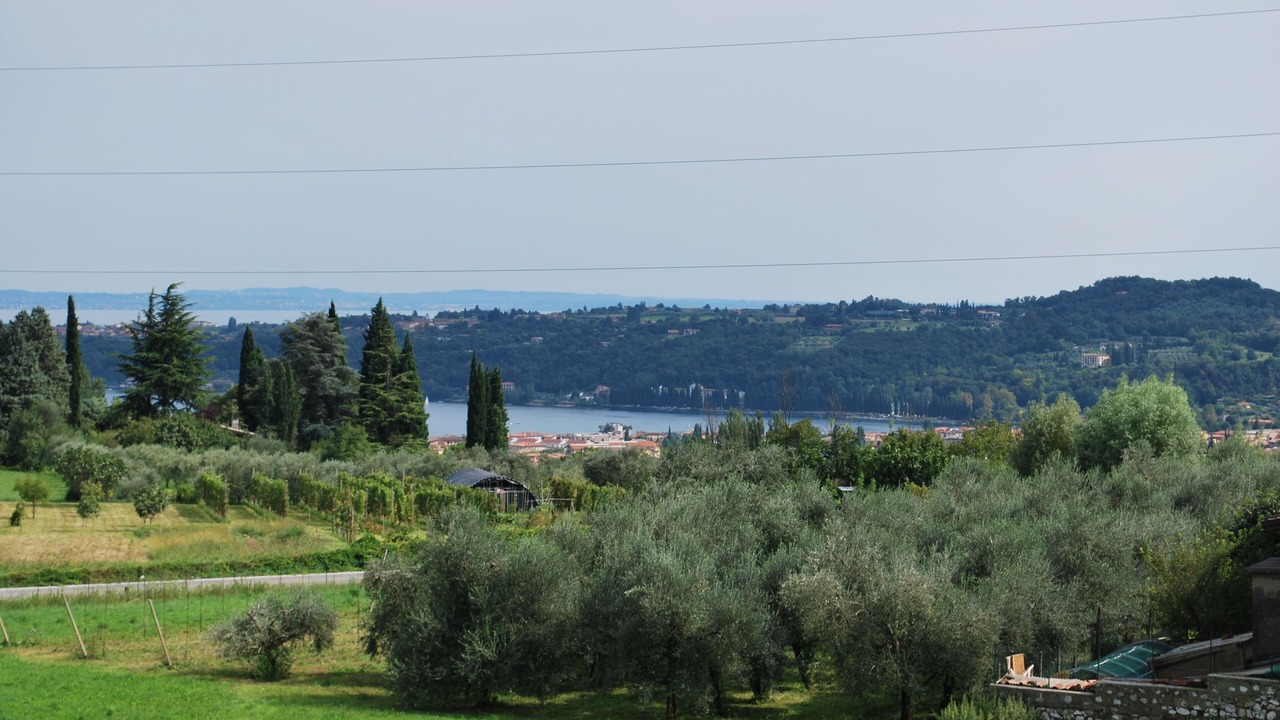 Photo of Outdoor in Roe Volciano