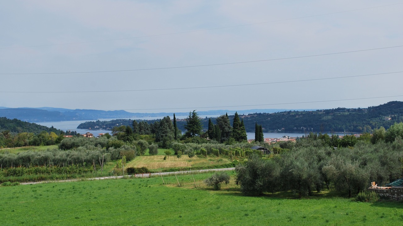 Photo of Outdoor in Roe Volciano