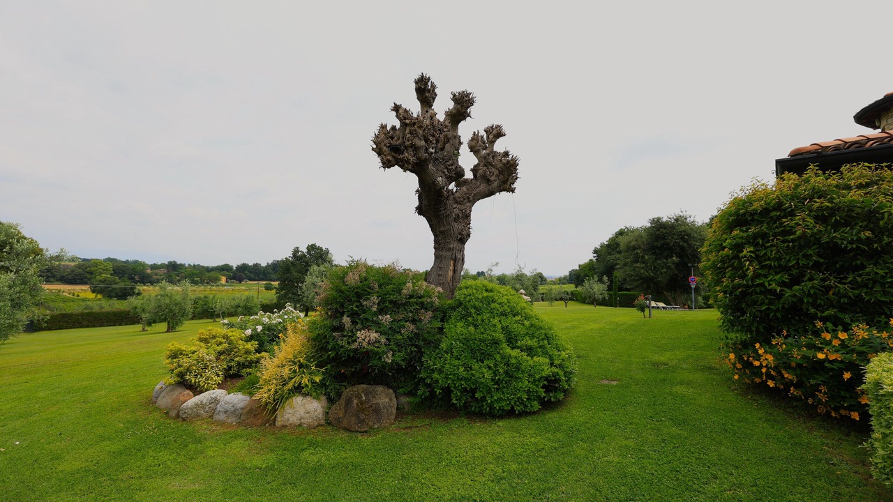 Photo of Outdoor in Erbusco