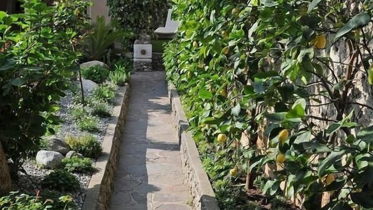 Photo of Outdoor in Limone sul Garda