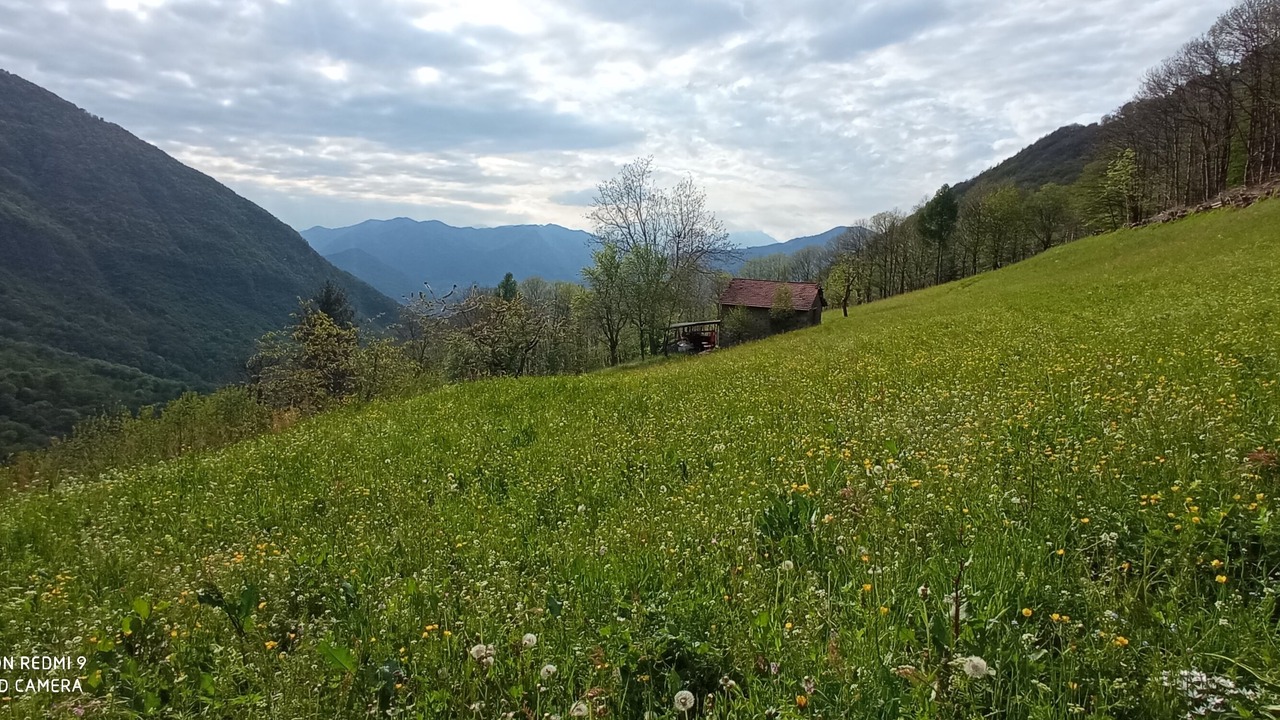 Photo of Outdoor in Pisogne
