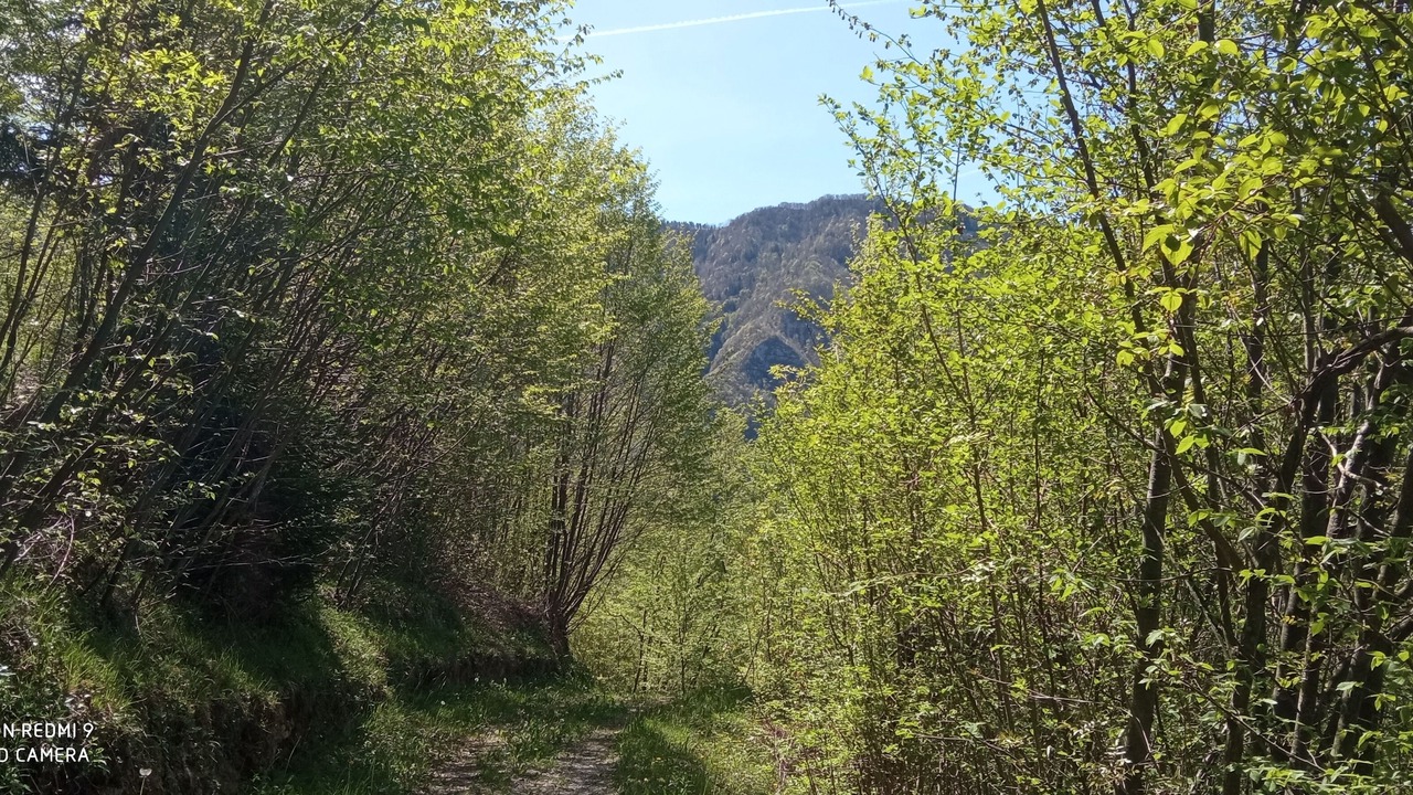 Photo of Outdoor in Pisogne