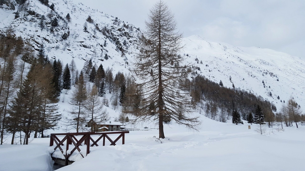 Photo of Others in Vezza d'Oglio