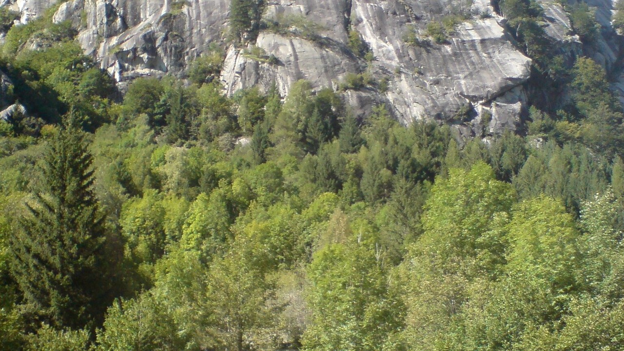 Photo of Others in Buglio in Monte