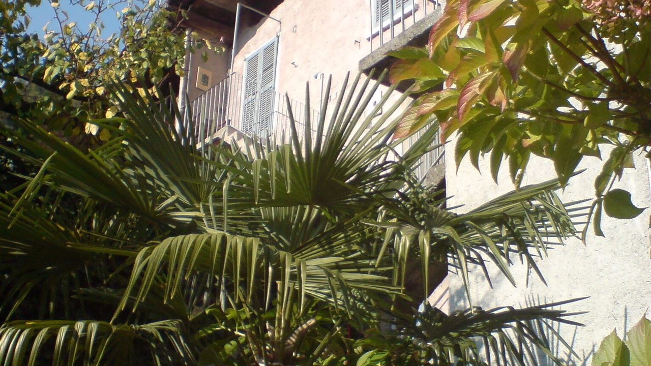 Photo of Outdoor in Buglio in Monte
