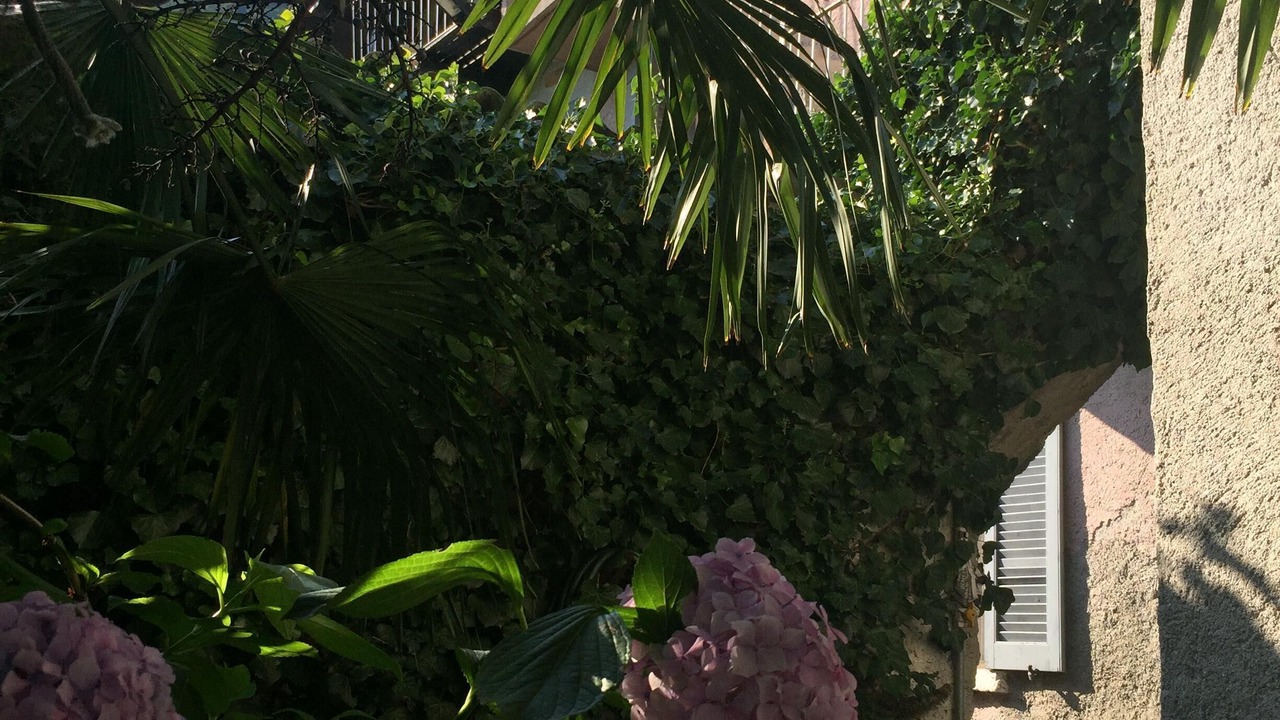 Photo of Outdoor in Buglio in Monte