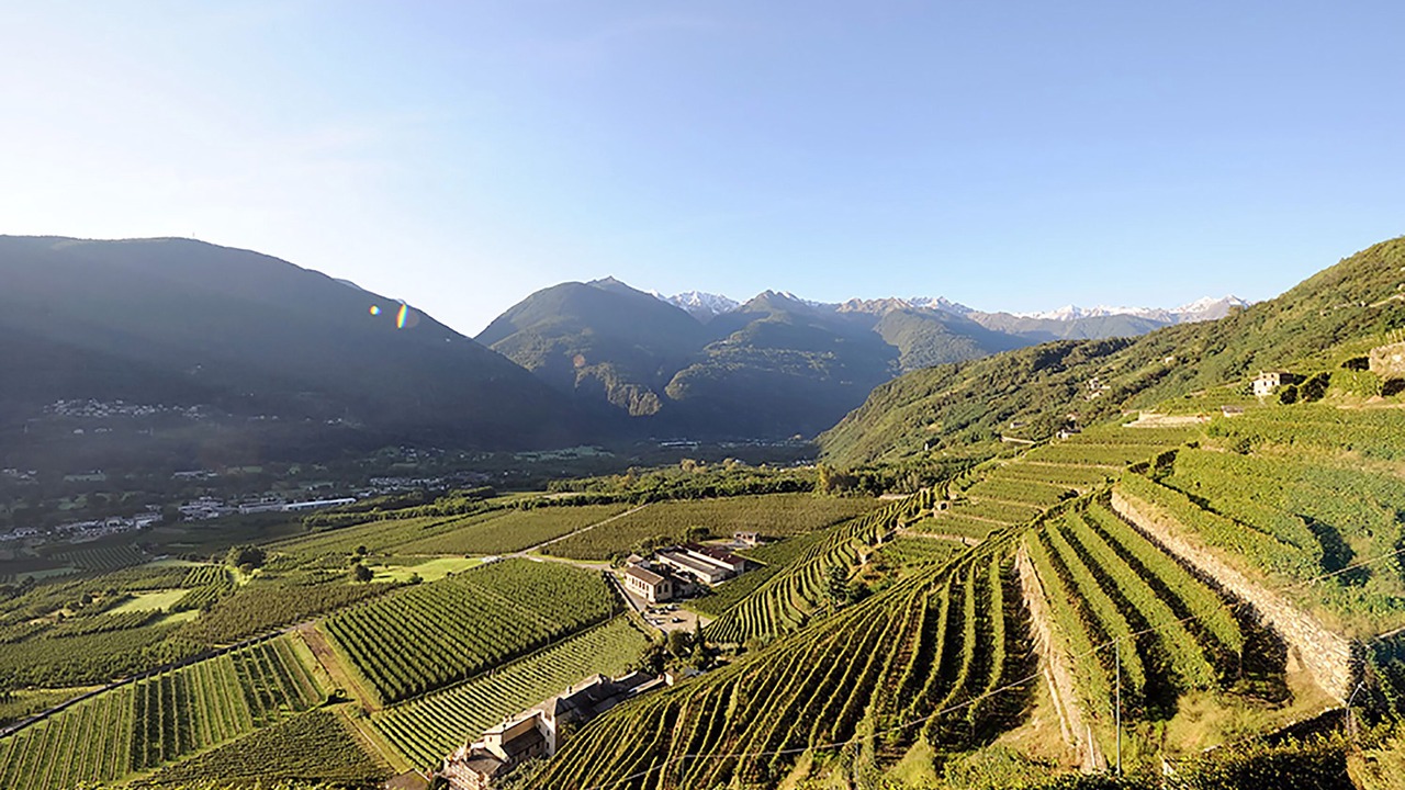 Photo of Others in Dubino