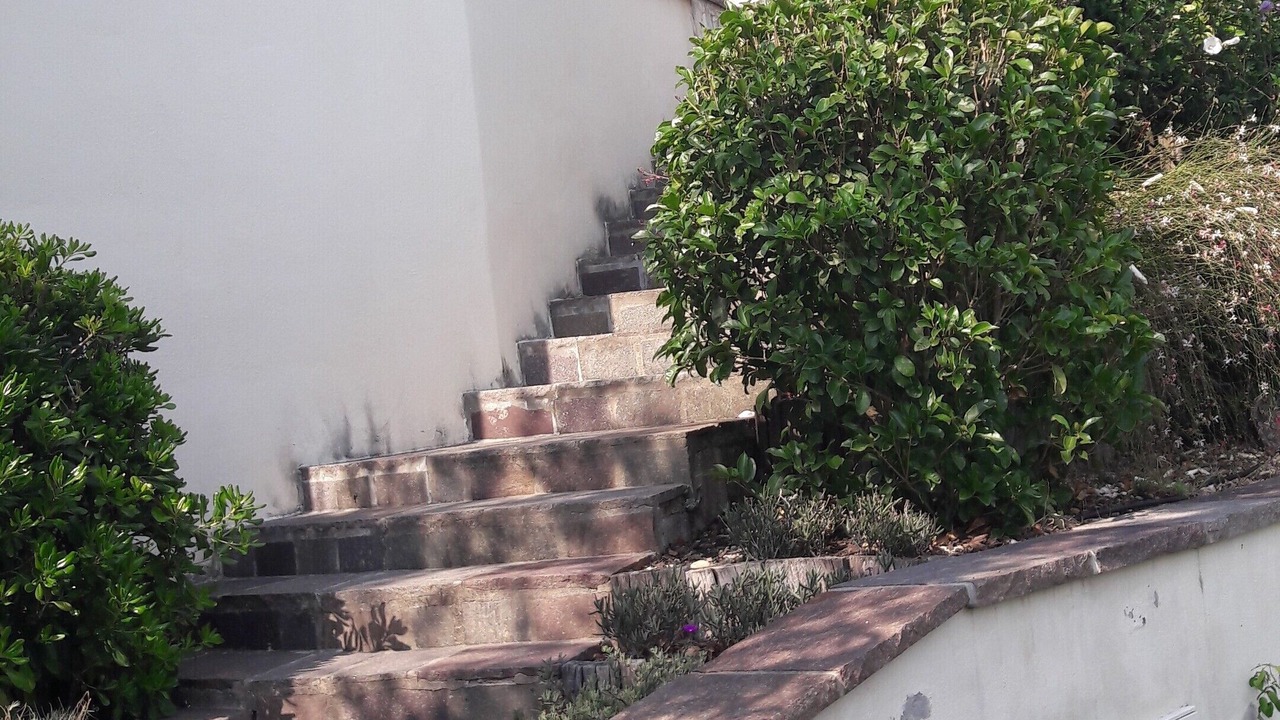 Photo of Outdoor in Monte