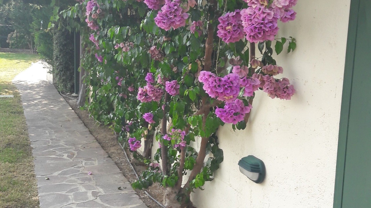 Photo of Outdoor in Monte