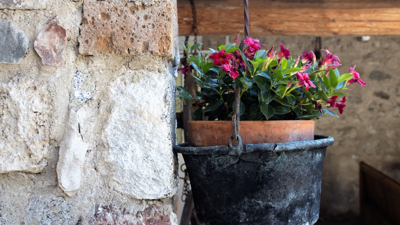 Photo of Outdoor in Vesio